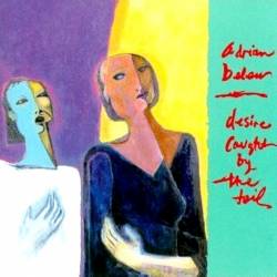 Adrian Belew : Desire Caught By The Tail